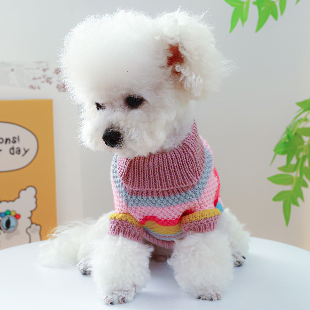 Pet Stripes Colorful Sweater