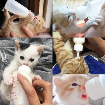 Puppy Kitten Feeding Bottle