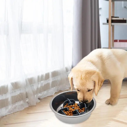 Dog Slow Feeder