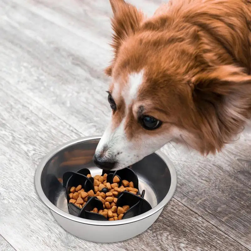Dog Slow Feeder