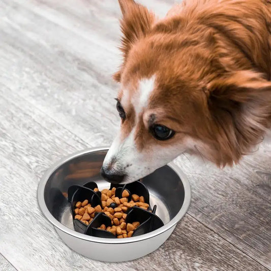 Dog Slow Feeder