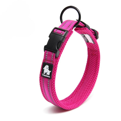 Dog Walking Collar