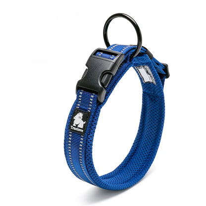 Dog Walking Collar