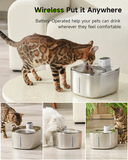 Wireless Drinking Fountain For Cats