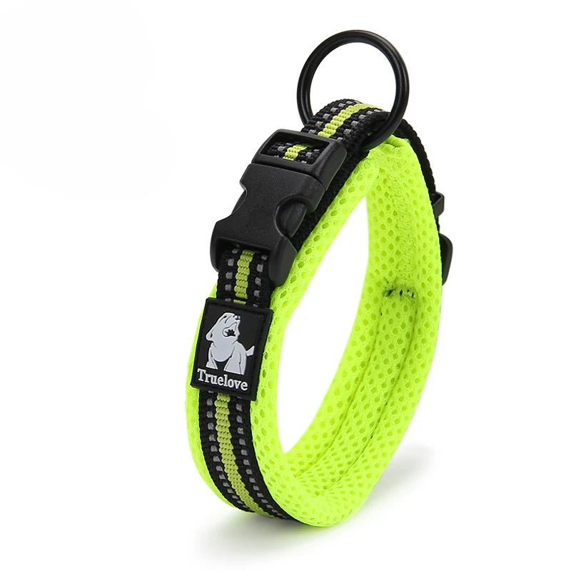 Dog Walking Collar