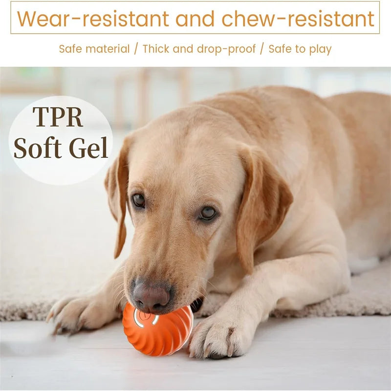 Smart Toy Ball For Dogs