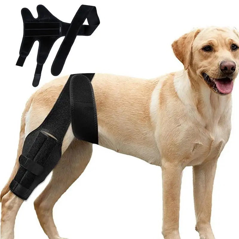 Dog Knee Protector
