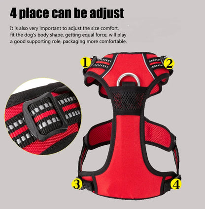 Truelove Adjustable Dog Harness