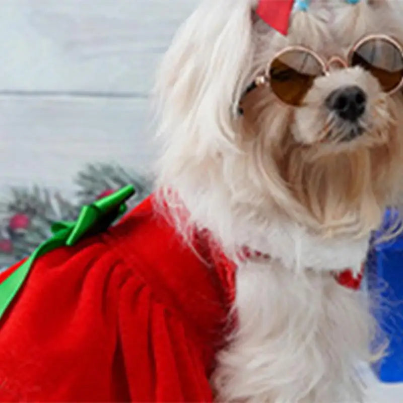 Santa Claus Dogs Suit