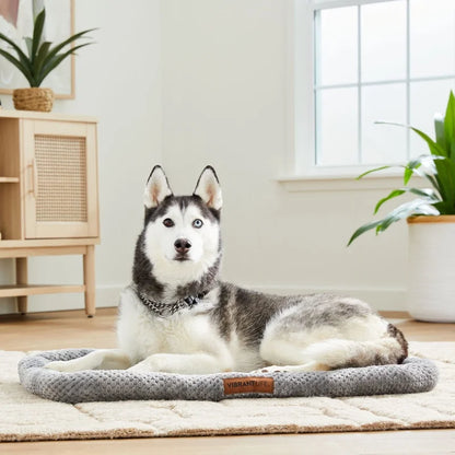 Padded Washable Pet Bed