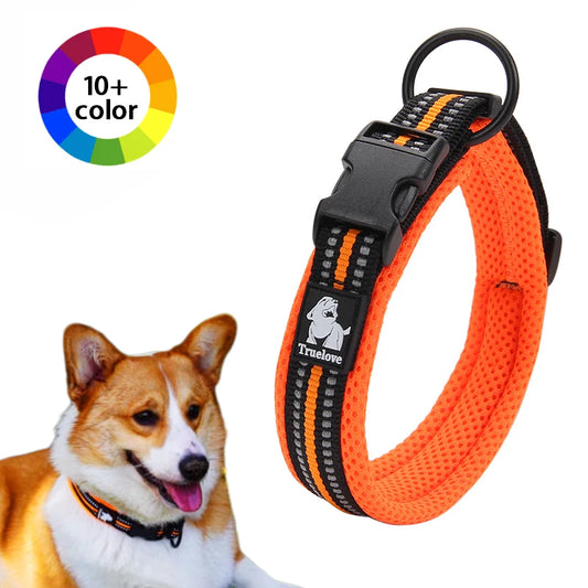 Dog Walking Collar
