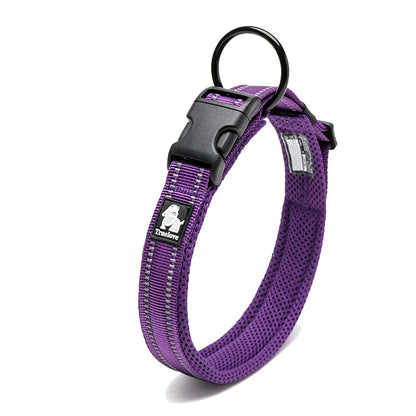 Dog Walking Collar