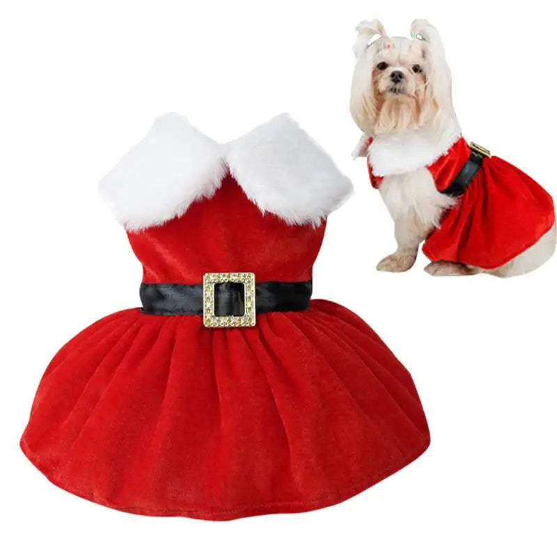 Santa Claus Dogs Suit