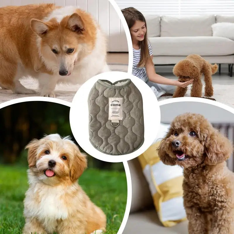 Winter Pet Coat Clothes