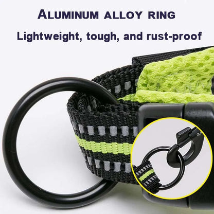 Dog Walking Collar