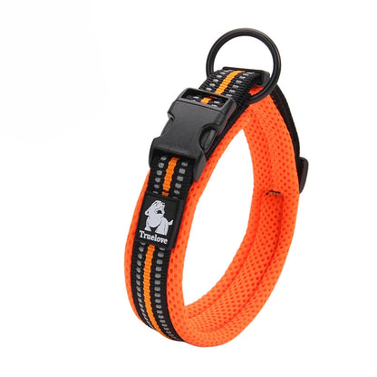 Dog Walking Collar