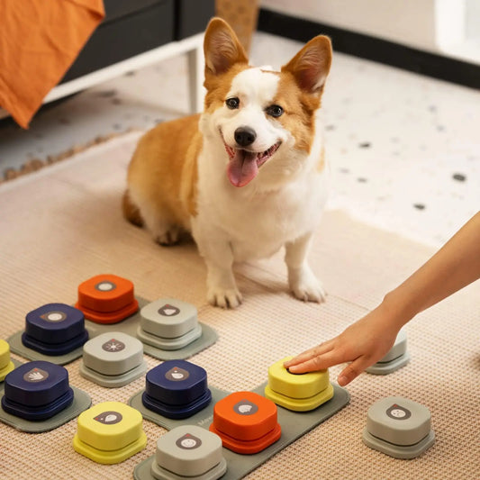 Dog Vocal Training Interactive Toy