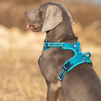 Truelove Adjustable Dog Harness
