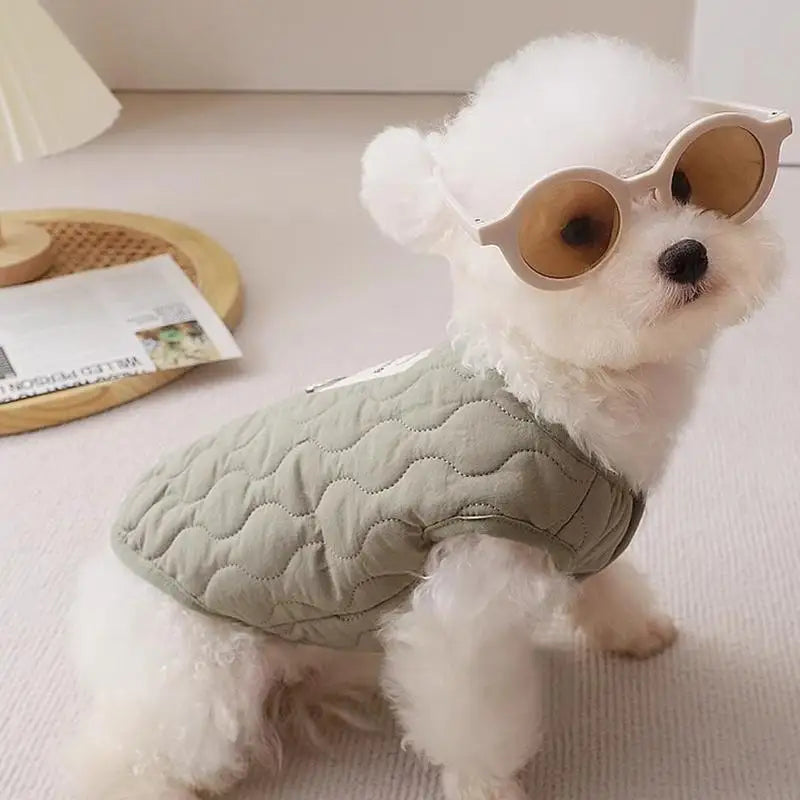 Winter Pet Coat Clothes